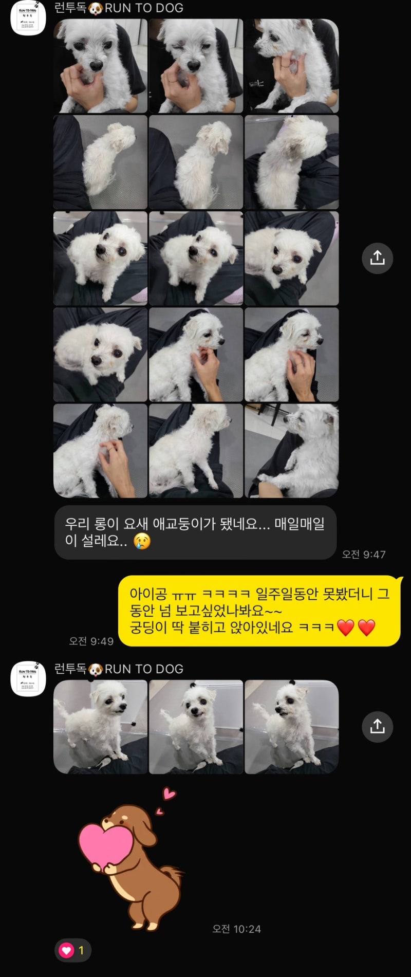 사진 10