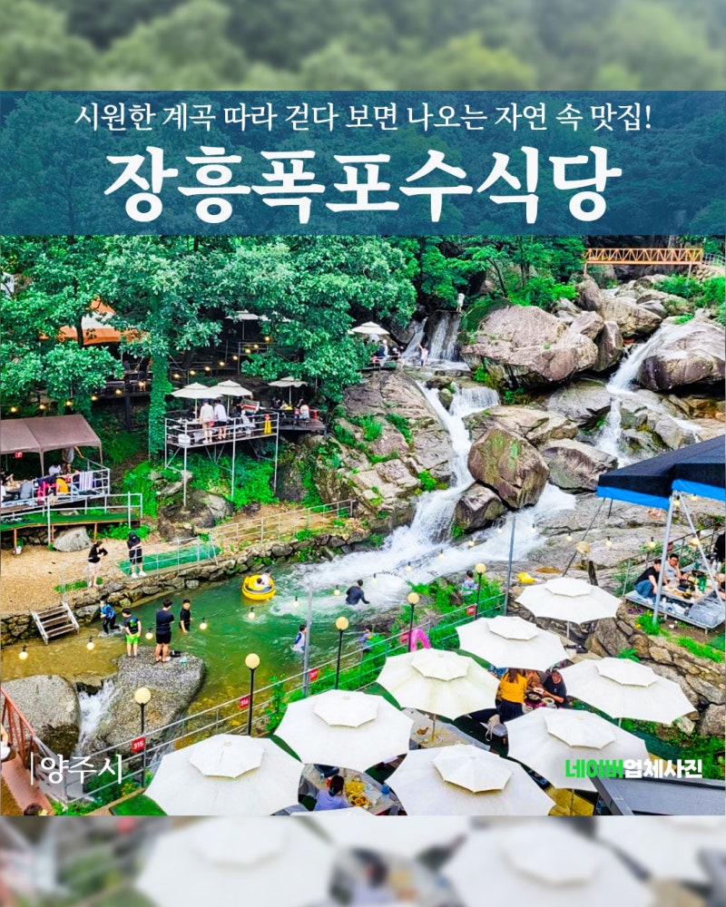사진 2