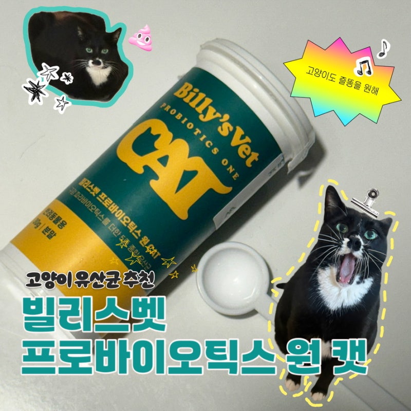 [추천] 야. 너두 굿똥 쌀 수 있어ㅋ 고양이 유산균 빌리스펫 프로바이오틱스 원 캣