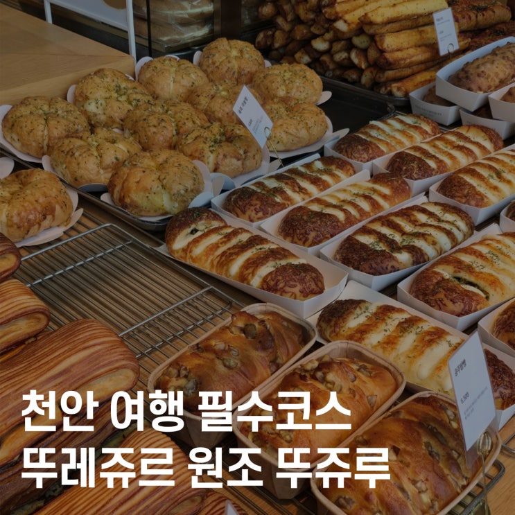  천안 여행 필수코스, 빵과 체험이 공존하는 핫플 뚜쥬루 빵마을 다녀왔어요