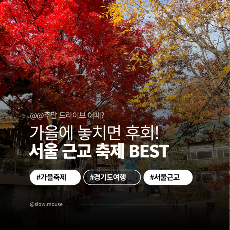  주말 여행지 고민 끝! 가족과 커플 모두 즐기는 경기도 가을축제 BEST4