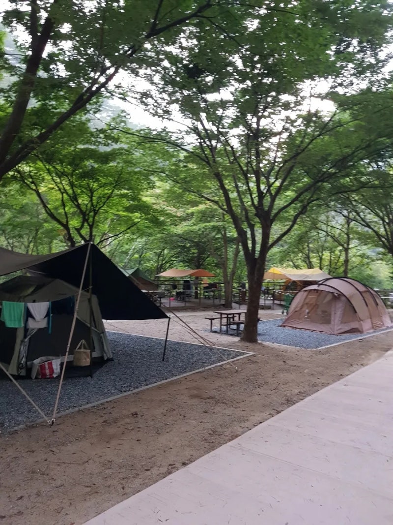 소백산 국립공원 남천야영장