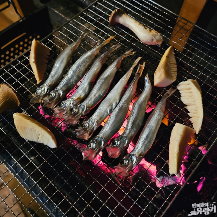  오키나와 이온몰 나고 면세 쇼핑 에어비엔비에서 숯불에 고기 해산물 굽기