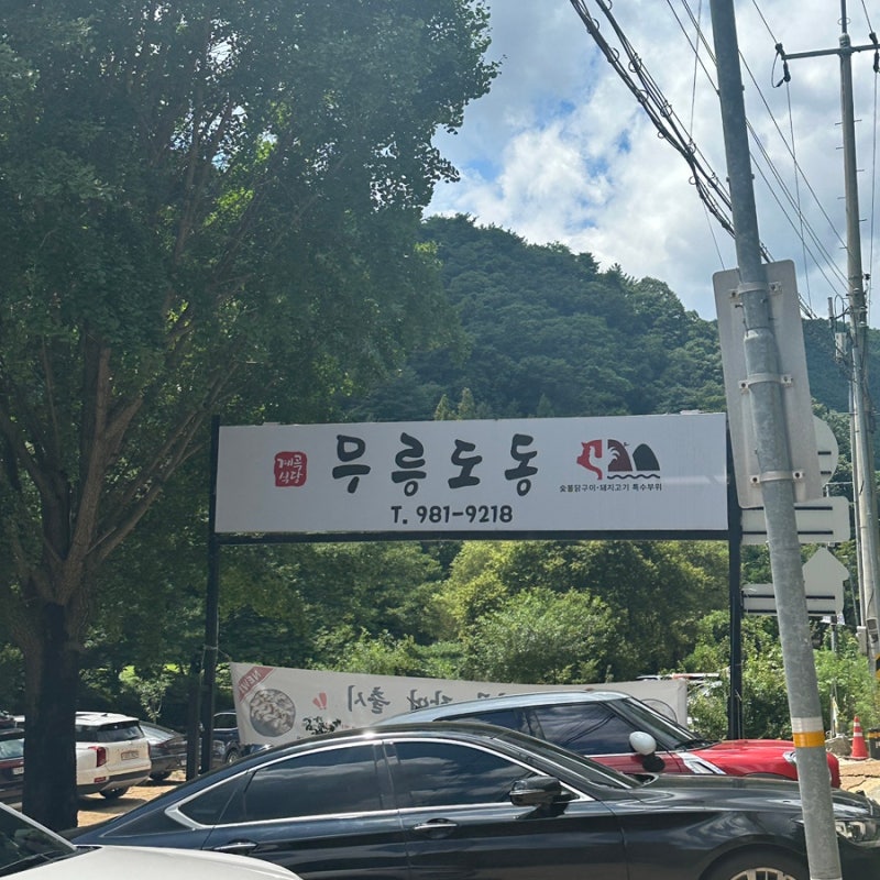 사진 6