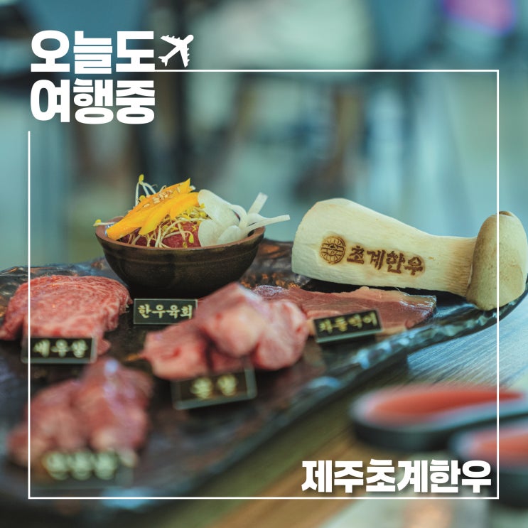  서귀포맛집 제주초계한우 | 돌고래 포인트 옆 제주 인생 한우집