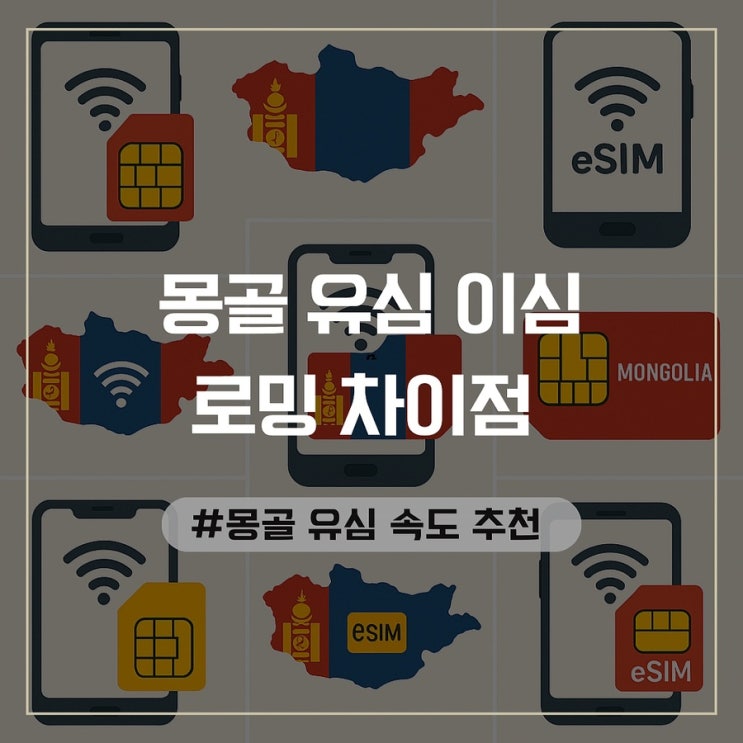  몽골 이심 유심 로밍 차이점 속도 추천 총정리