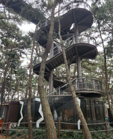  서천 장항 스카이워크, '보랏빛 꽃바다' 위를 걷다! (맛집, 카페 총정리)