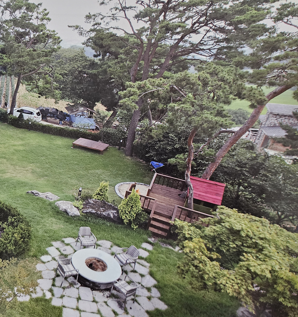 소나무집 사진 4
