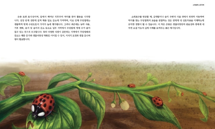 남동구, 제25회 소래포구 축제 기념 ‘소래생태 스토리북’ 발간