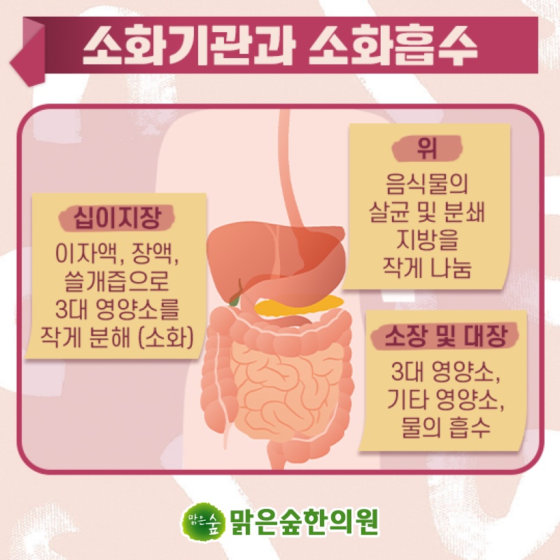 인동한의원 사진 2