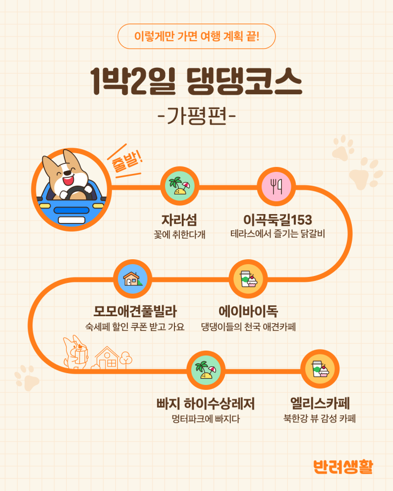 사진 3