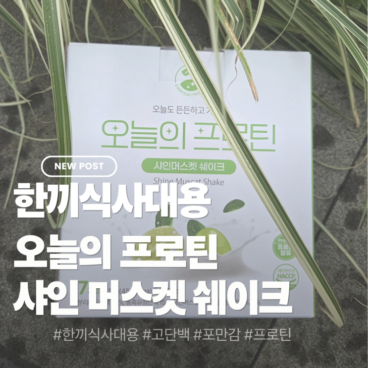  한끼식사대용으로 챙긴 고단백 쉐이크 포만감 가득한 나의 간편식 하루 오늘의 프로틴