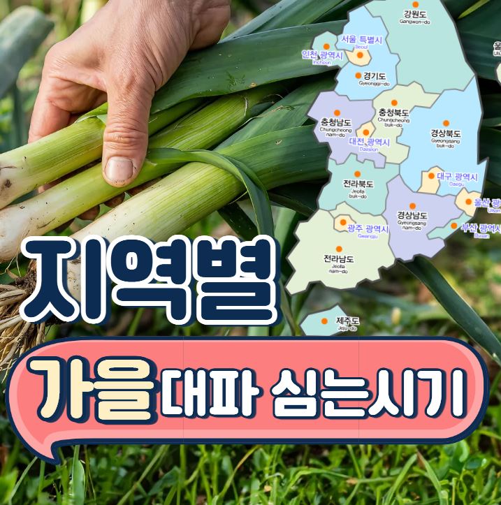  가을대파 심는시기 지역별 심기 방법