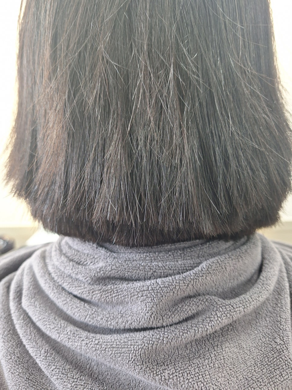 한스헤어 사진 2