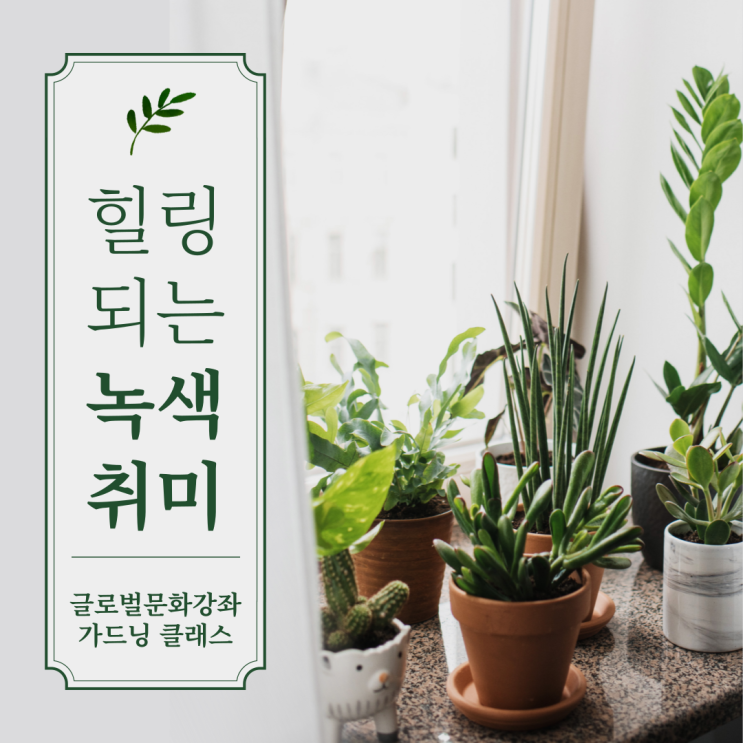  [글로벌문화강좌] 힐링되는 녹색취미 가드닝클래스!!(가드닝클래스 수강생 모집)