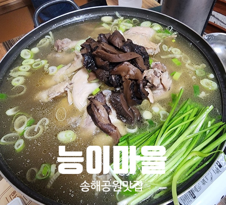  송해공원맛집 능이마을  아이와 함께 즐긴 능이백숙 솔직후기
