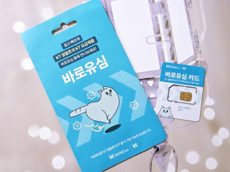  공폰 투폰 셀프개통 총정리 선불유심 온라인 간단하게 신청하기