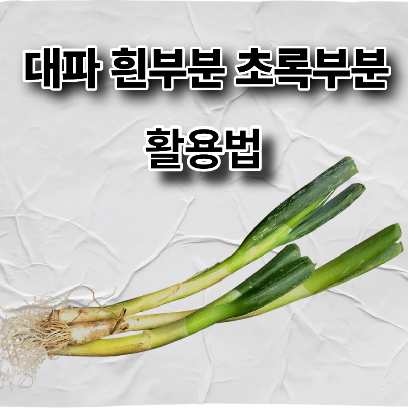 대파 흰 부분 초록 부분 용도 차이 영양성분 효능