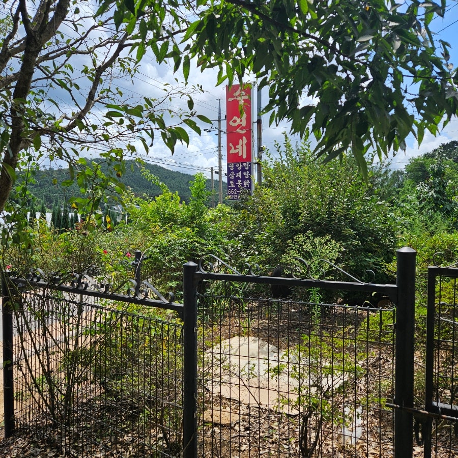 수연네식당 사진 1