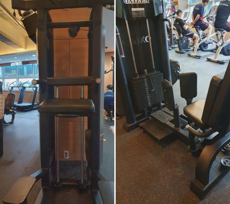  운동 초보자를 위한 가장 좋은 선택, 명성헬스PT 순천PT에서 만나는 즐거운 운동