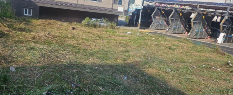  울주군 삼남읍 교동리 주택지 약 100평 예초제초대행("울주예초대행")
