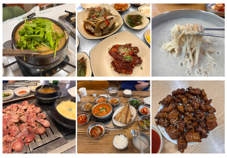  전라도 광주맛집 _ 영미오리탕, 첨단골연탄구이, 진식당, 두꺼비게장백반, 대성콩물, 서울곱창