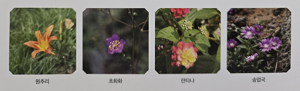 소나무집 사진 6
