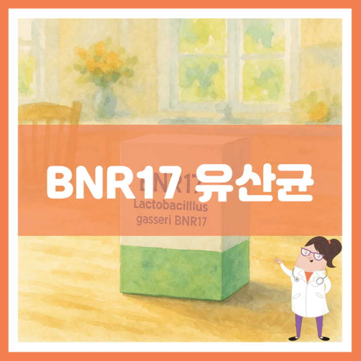  BNR17 유산균 효능 섭취방법 부작용