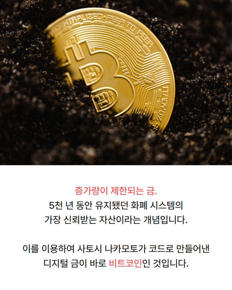 짬뽕값 20배 오른 이유, 비트코인 계속 오르는 이유와 같다? : 네이버 블로그