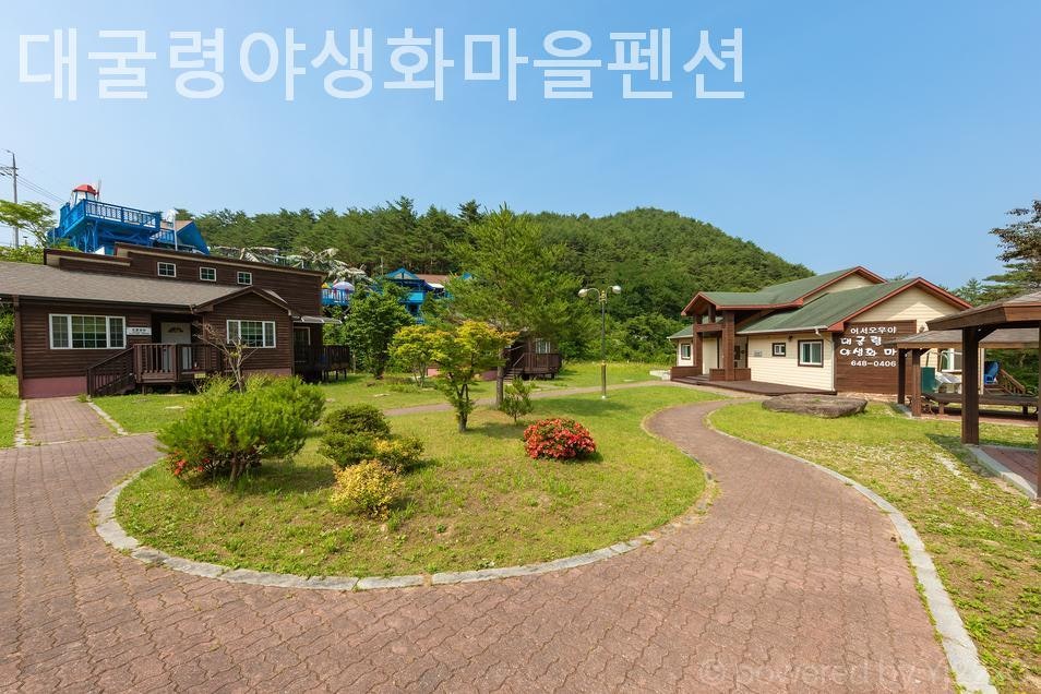 강릉 야생화마을펜션 사진 3