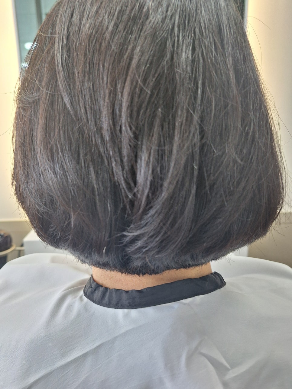 한스헤어 사진 6