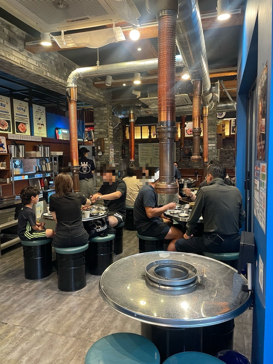 금돼지 사진 5