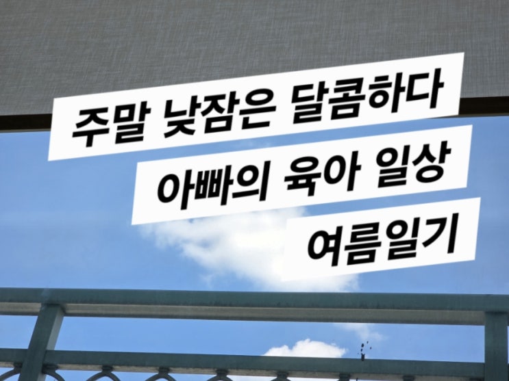  주말 일상의 행복(아빠 육아 일상)