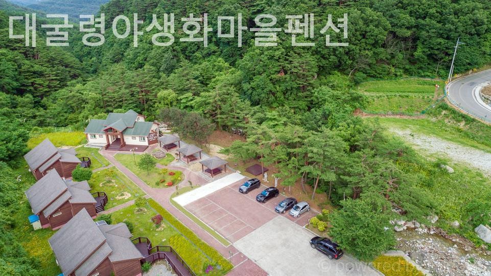 강릉 야생화마을펜션 사진 2