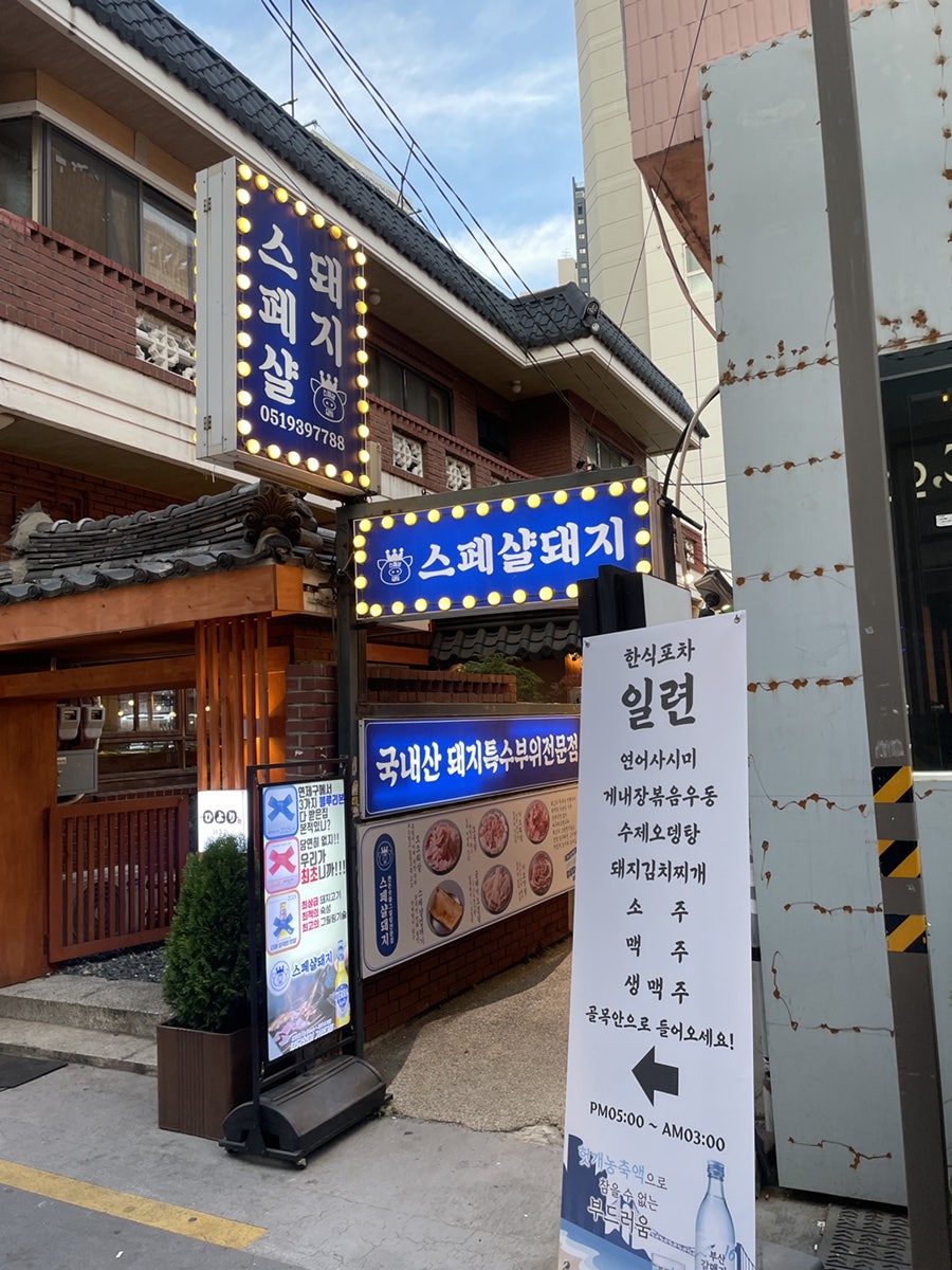 금돼지 사진 1