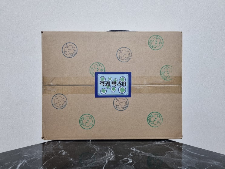  초등학생 생일선물 추천 비츠로 랜덤박스 대만족 후기