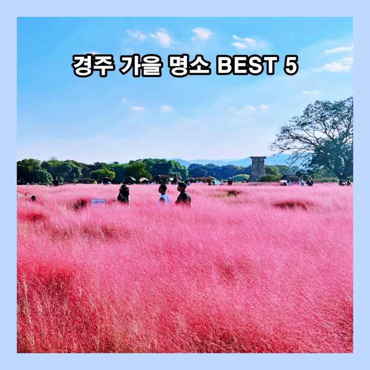  경주 가을 명소  BEST 5를 소개합니다