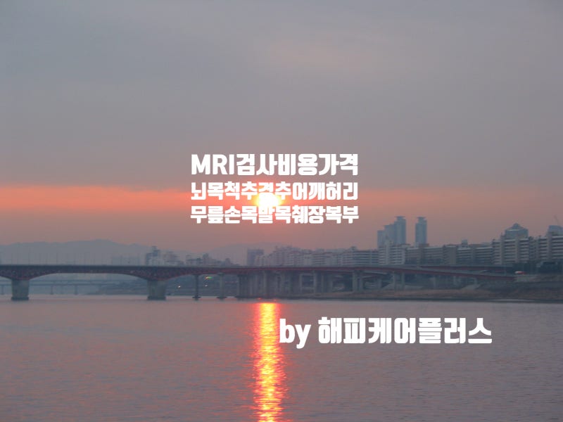MRI 검사 비용 (뇌, 목, 척추, 경추, 어깨, 허리, 무릎, 손목, 발목, 췌장, 복부) MRI 비용 가격