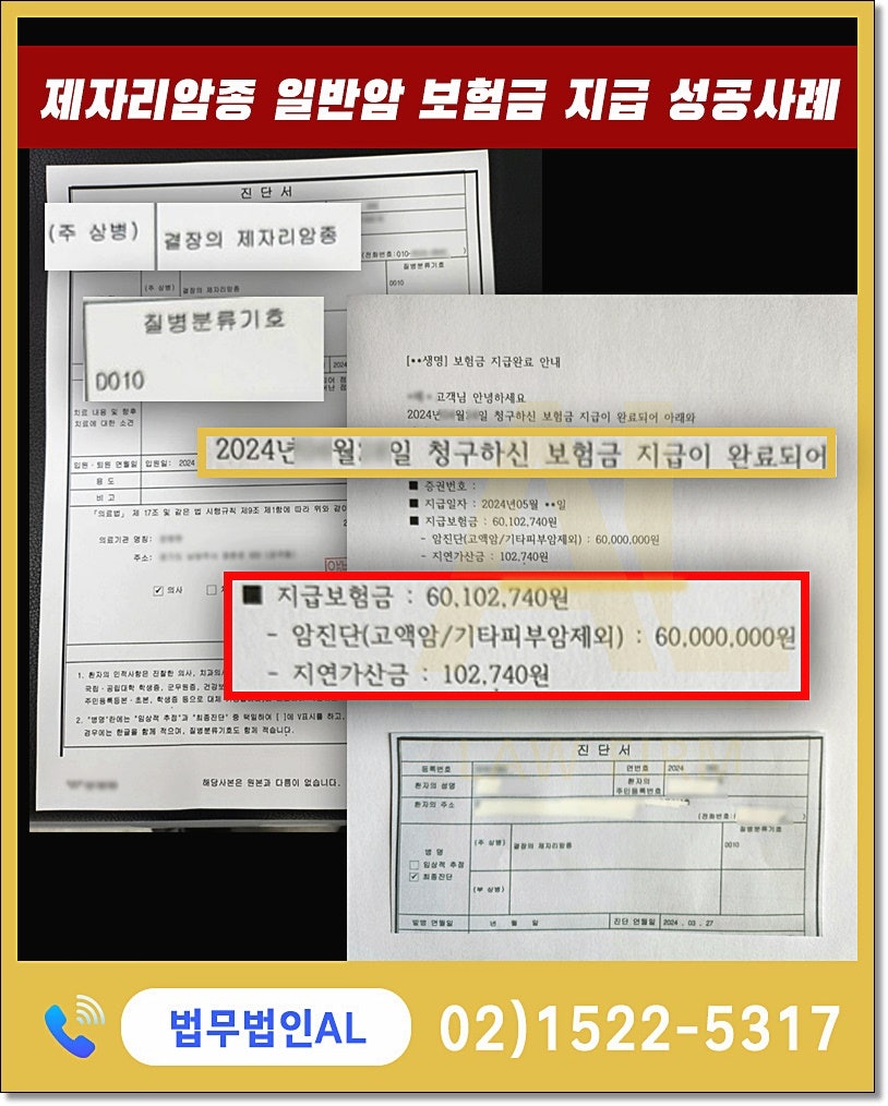 난소경계성종양 보험청구는 관련 사진