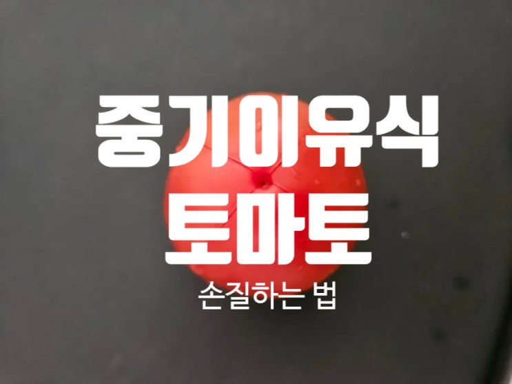 [Rana이유식]중기이유식 야채: [토마토] 손질하기