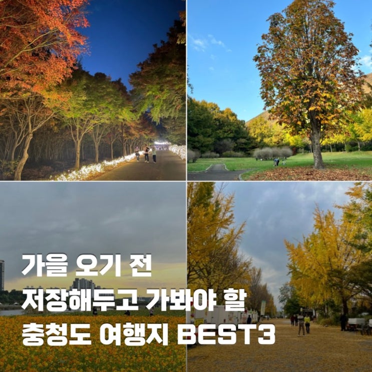  가을 오기 전 저장해두고 가봐야 할 충청도 여행지 BEST3