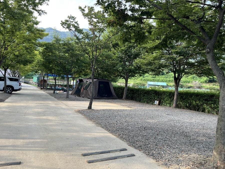 합천라온오토캠핑장 사진 3