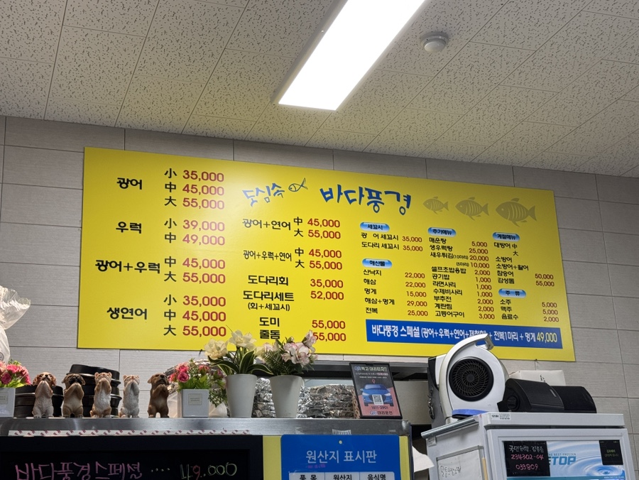 도심속바다풍경 사진 2