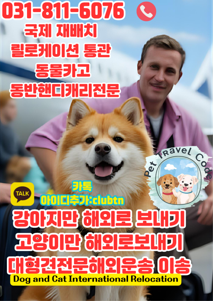  해외에서 반려견·고양이·대형견 한국 긴급 귀국 운송 전문 서비스 안내