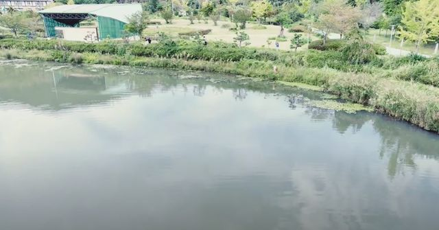  전남도청 저수지서 30대 도청 공무원 숨진 채 발견