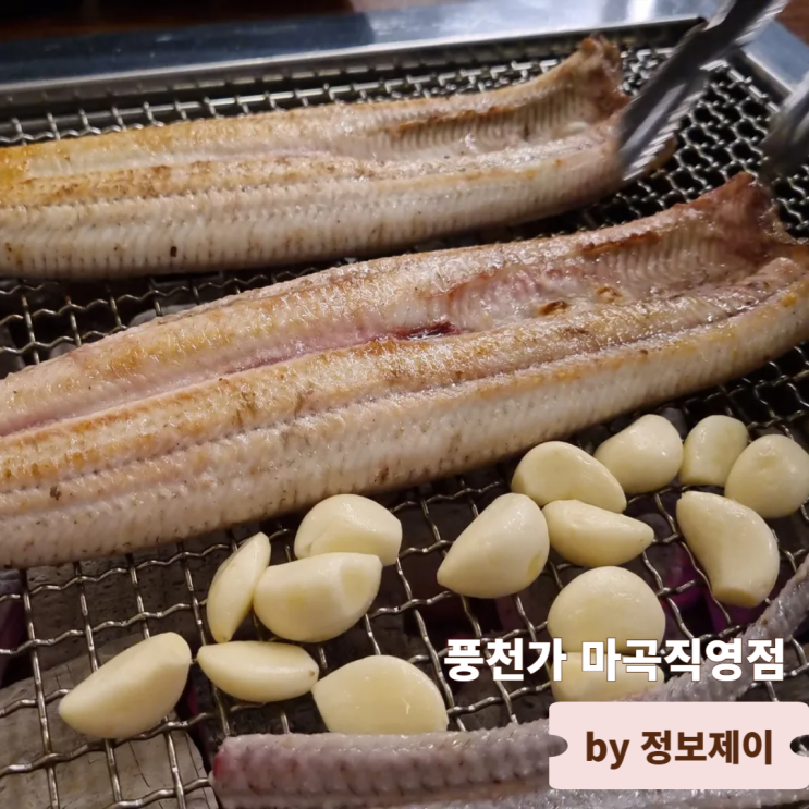  서울 강서장어맛집 마곡 회식장소 추천 풍천가 마곡직영점