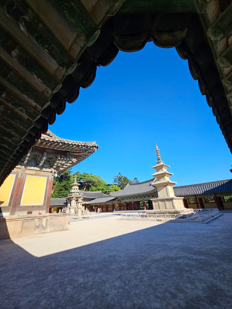 경주 불국사 석굴암 신라역사과학관 아이와 경주 역사 여행