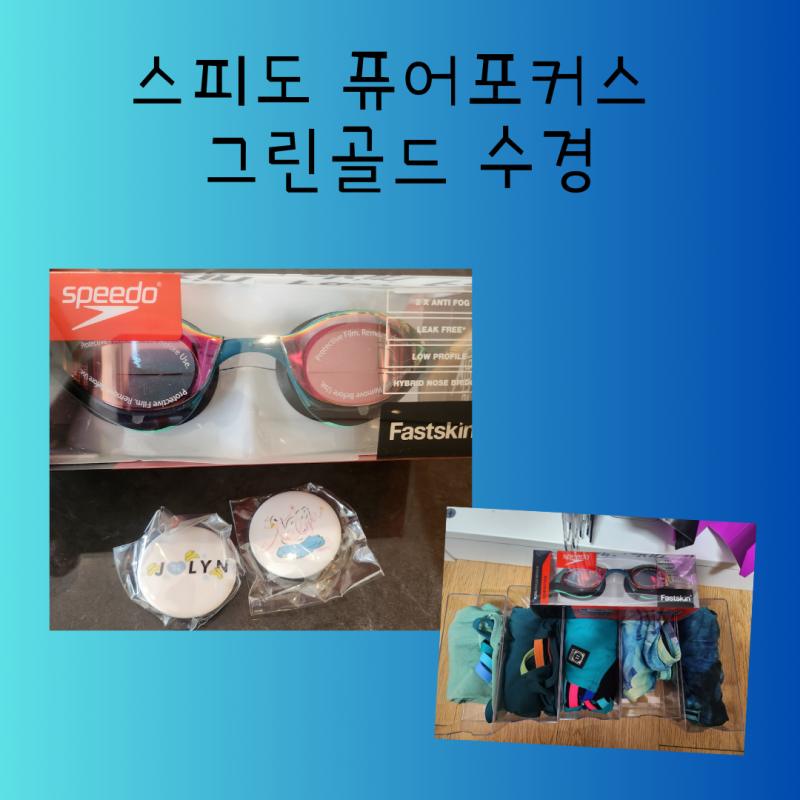스피도 퓨어 포커스 그린 골드(그린 글로우) 수경 득템 기념 그린 물옷 주간
