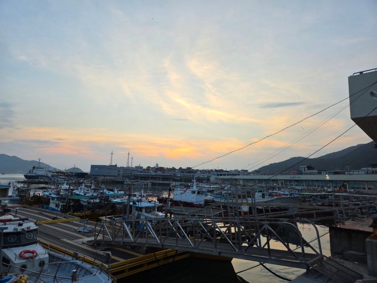  출장기록(8. 27.~29.)