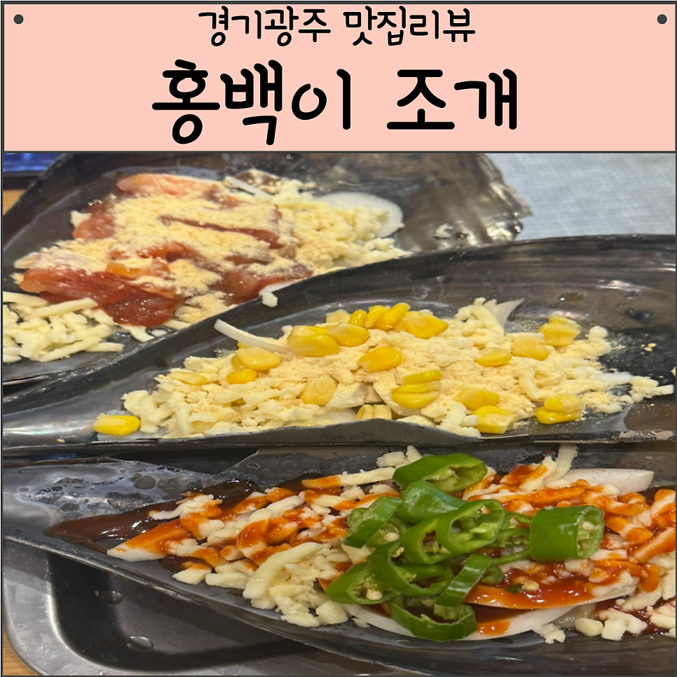 홍백이조개 사진 1